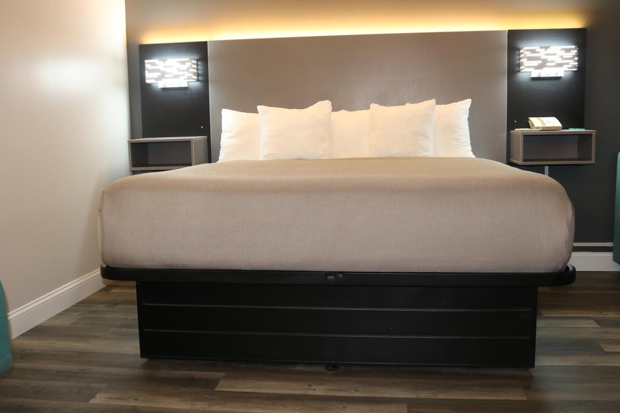 1 King Bed - Non Smoking,1661115044:JPEG